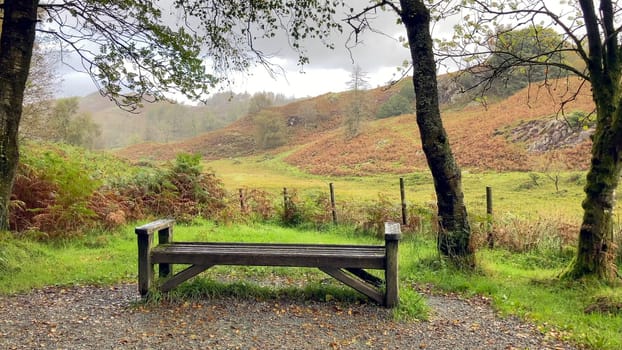 Empty wooden bench between two trees in the Lake District National Park, UK, overlooking a valley on a misty, rainy autumn day - Cumbria, UK