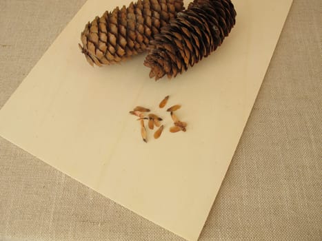 Cones and edible seeds of the spruce