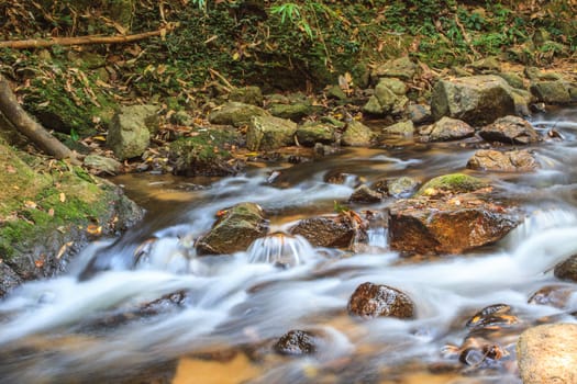 rainforest waterfall and rocks covered with moss in stream
