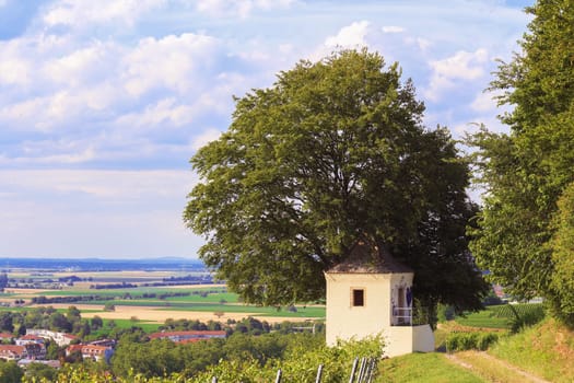 Small cottage in the vineyard of Müllheim in summer.
