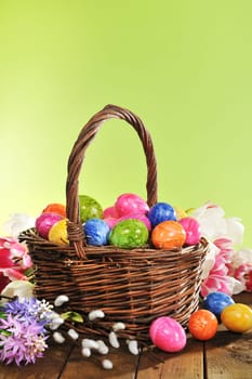 Easter nest with coloured chicken eggs,tulips,palm kittens and hyacinths against a green background on wooden boards