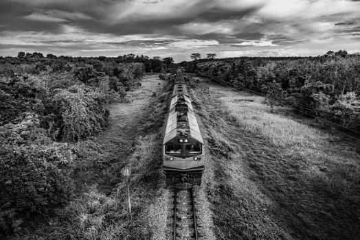 Train on railway transportation in forest and cloud storm, Transportation concept, Black and white and monochrome style