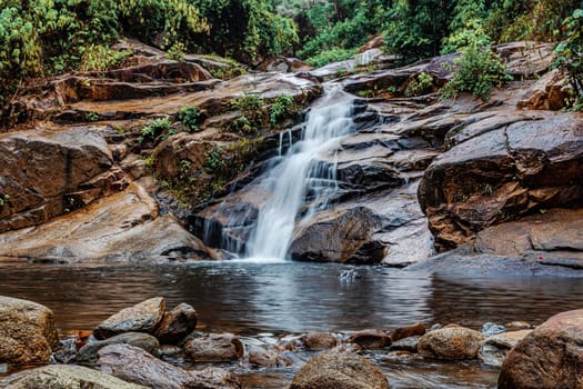 Water fall in forest with green tree landscape nature background