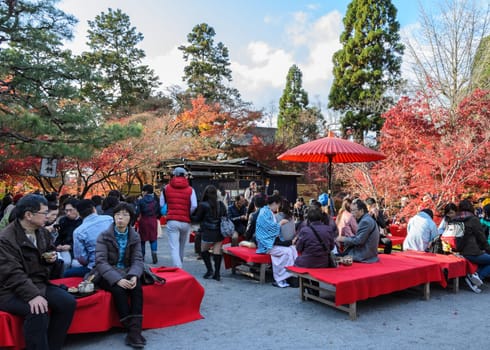 KYOTO, JAPAN - NOVEMBER 23, 2016: Tea garden where tourists can have matcha tea with sweets and enjoy Koyo (colorful leaves) in autumn at Eikando or Zenrinji Temple in Kyoto, Japan