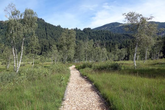 Moor adventure trail through the Wasenmoos near Mittersill