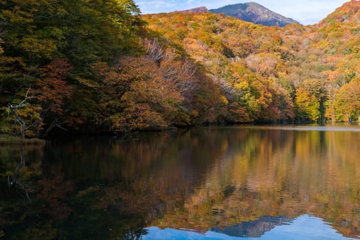 Autumn Fall Lake with reflection in Aomori Tohoku Japan