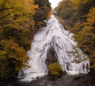 Autumn fall forest at Yudaki Falls at Nikko Tochigi Japan