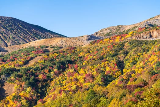 Autumn fall foliage Mountain at Bandai Azuma Skyline at Mt.Bandai in Fukushima Tohoku Japan