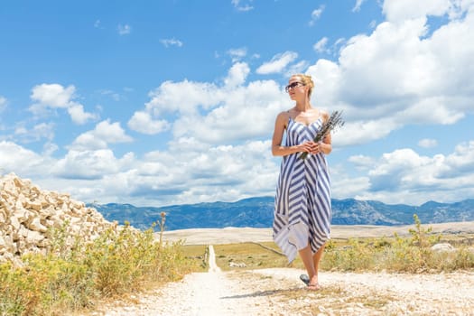 Caucasian young woman in summer dress holding bouquet of lavender flowers while walking outdoor through dry rocky Mediterranean Croatian coast lanscape on Pag island in summertime.