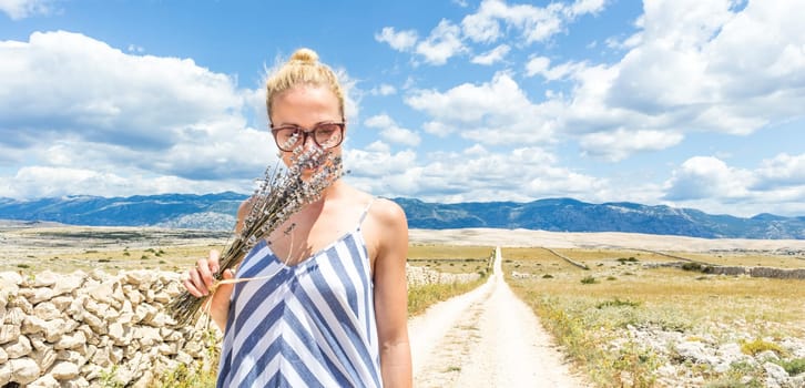 Woman in summer dress holding and smelling bouquet of lavender flowers while walking outdoor through dry rocky Mediterranean Croatian coast lanscape on Pag island in summertime.