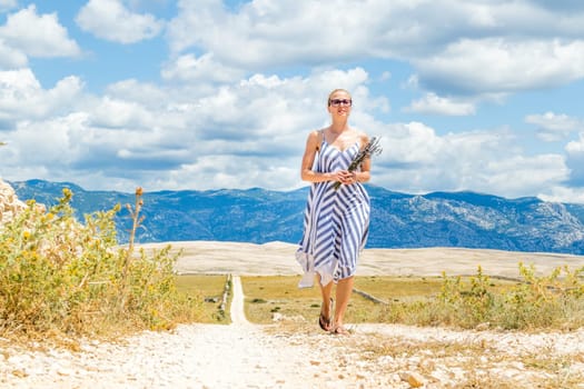 Caucasian young woman in summer dress holding bouquet of lavender flowers while walking outdoor through dry rocky Mediterranean Croatian coast lanscape on Pag island in summertime.