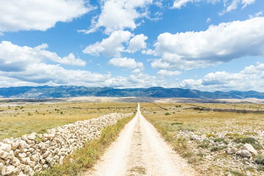 Dirt road leading trough dry rocky Mediterranean coastal lanscape of Pag island, Croatia in summertime.