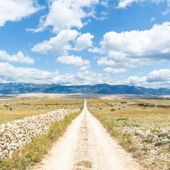 Dirt road leading trough dry rocky Mediterranean coastal lanscape of Pag island, Croatia in summertime.
