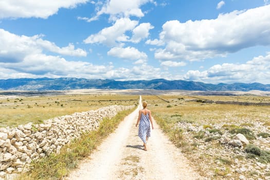 Caucasian young woman in summer dress holding bouquet of lavender flowers while walking outdoor through dry rocky Mediterranean Croatian coast lanscape on Pag island in summertime.