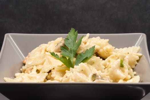 Pasta with cheese sauce and parsley is in gray square plate on dark gray background.