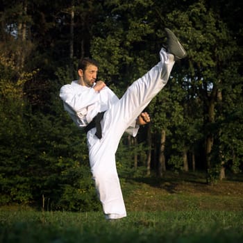 Man in white kimono with black belt is practicing martial arts and doing high kicks in nature.