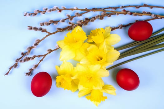 Easter holiday scene still life, narcissus flowers, red colored eggs and branch are on blue background.