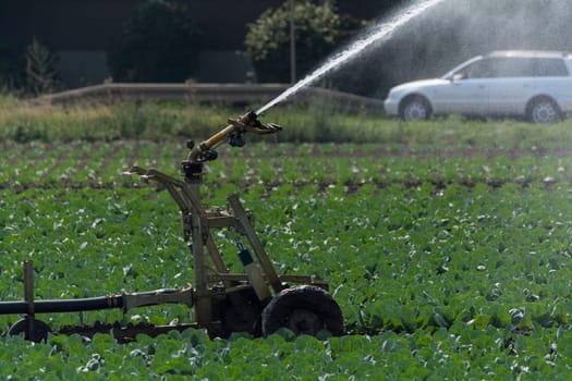 Irrigation on a field