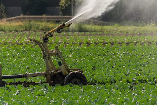 Irrigation on a field