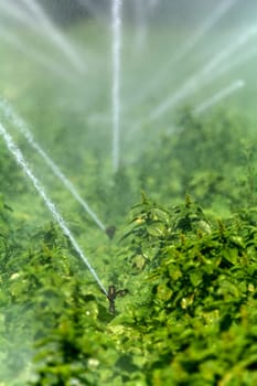 Irrigation on a field