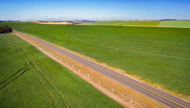 Aerial photography of land and planting, cultivation and food production.