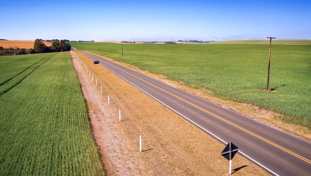 Aerial photography of land and planting, cultivation and food production.