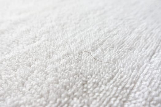 pubic hair fall on white towel