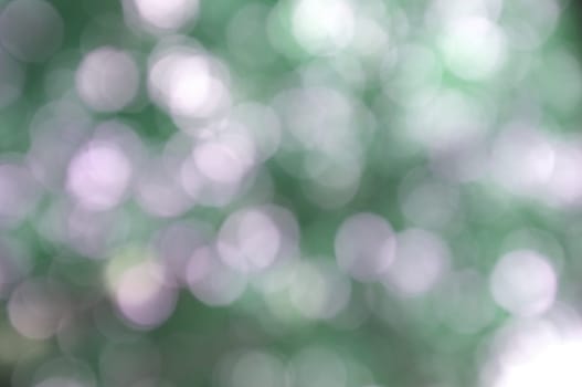 Abstract circular bokeh nature background of light . Blur background