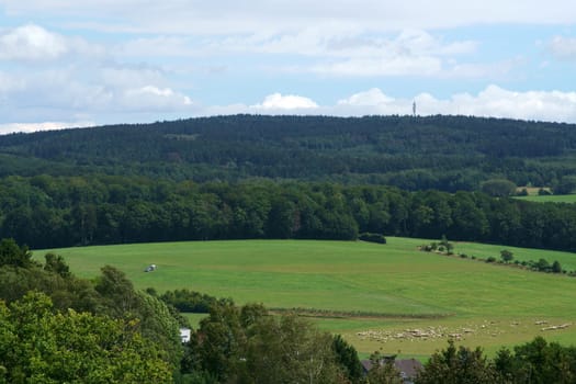 .Sheep grazing in a valley in Taunusstein with mountains from the Taunus mountains in the background...