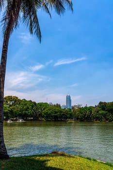 A pond with tropical palm, view at Bangkok skyscrapers from Lumpini city park, green oasis in modern busy city, Thailand