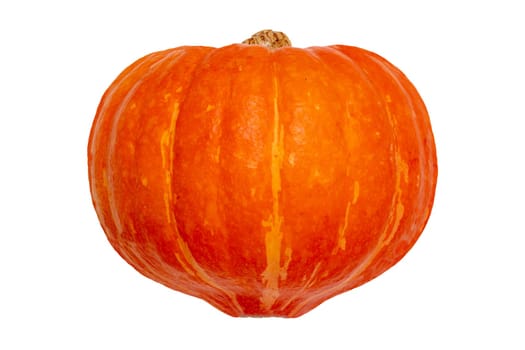 Pumpkin isolated. Close-up of a orange-red Hokkaidio pumpkin isolated on a white background. Healthy nutrition. Macro.