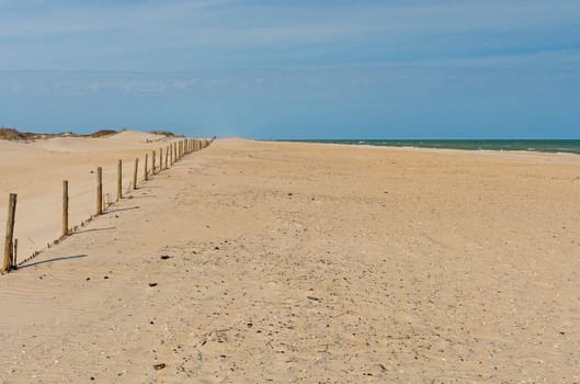 Lonely Beach in the Early Spring on the Assateague National Seashore in Maryland