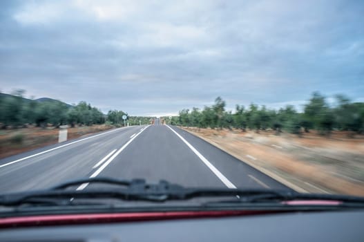 Driving along olive trees fileds of South Spain. Motion blurred shot