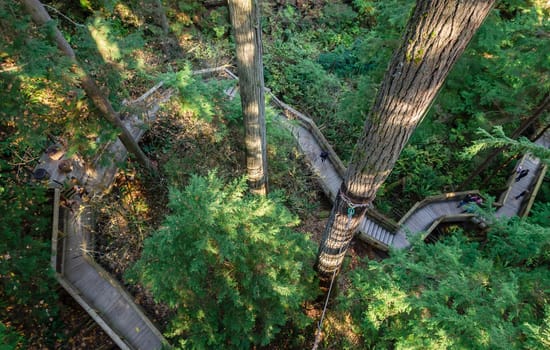 Treetop nature view of Capilano Suspension Bridge park in North Vancouver, Canada