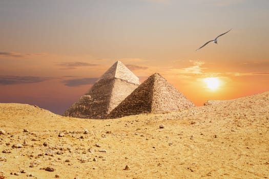 The Pyramids of Giza, view from the sand-dune.