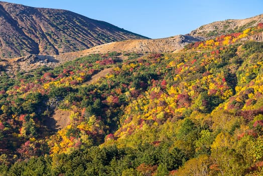 Autumn fall foliage Mountain at Bandai Azuma Skyline at Mt.Bandai in Fukushima Tohoku Japan