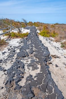 Old Eroded Road on a Barrier Island in Assateague Island in Maryland