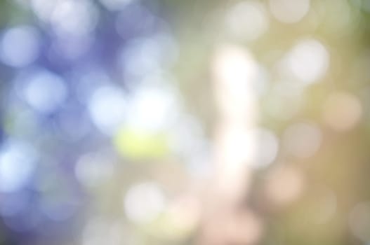 Abstract circular bokeh nature background of light . Blur background