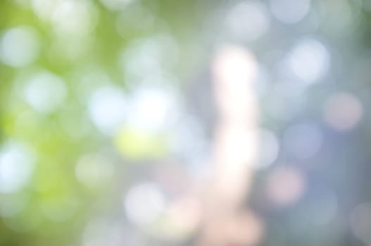Abstract circular bokeh nature background of light . Blur background