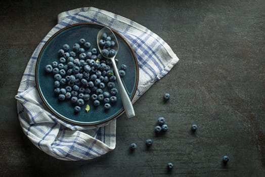 Eating Blueberry. Fresh raw berrie. Agriculture, Gardening, Harvest Concept