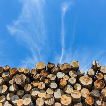 Many sawed pine logs stacked in a pile under cloudy sky. Front view close-up.