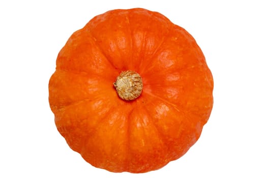 Pumpkin isolated. Close-up of a orange-red Hokkaidio pumpkin isolated on a white background. Healthy nutrition. Macro.