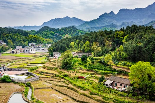 Green terraced agricultural fields and residential houses, Zhangjiajie National Forest Park and mountains, UNESCO World Heritage Site. Hunan, China
