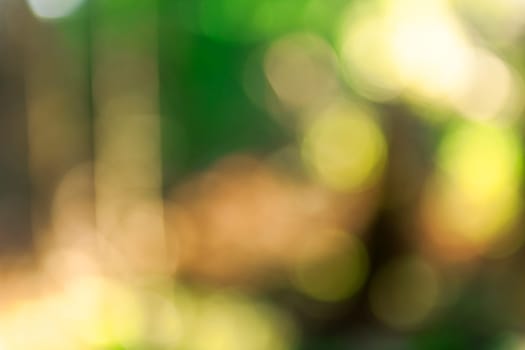 Defocused view of a forest with glade and bohey effect.