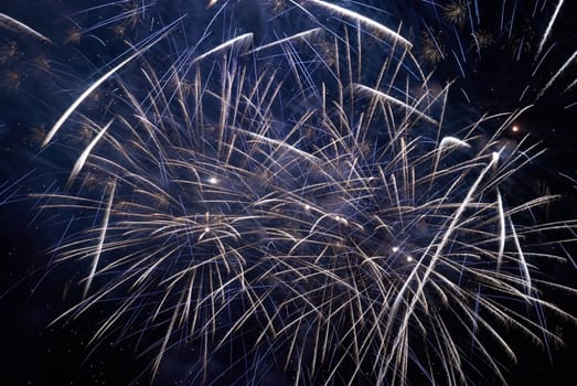 Colorful holiday fireworks on the black sky background.
