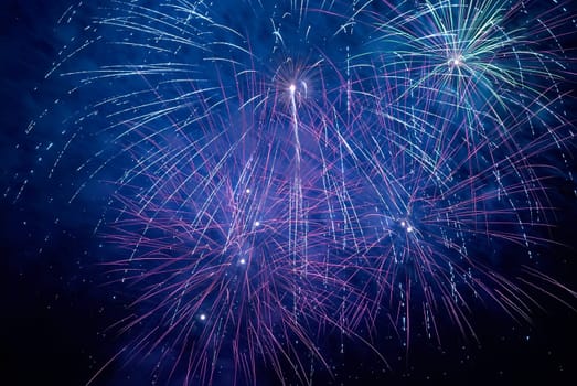 Colorful holiday fireworks on the black sky background.