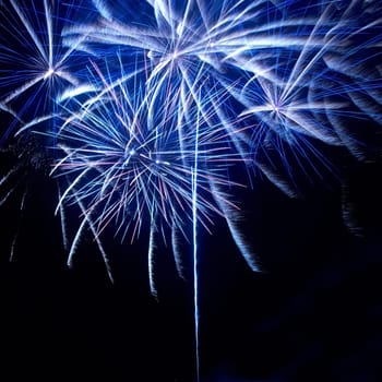 Colorful holiday fireworks on the black sky background.