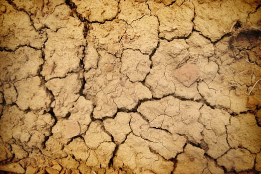 Dry yellow soil in the desert. Texture for background