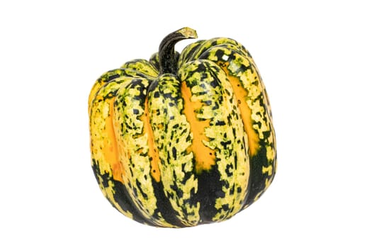 Pumpkin isolated. Close-up of a green orange Carnival or Festival pumpkin isolated on a white background. Healthy nutrition. Macro.