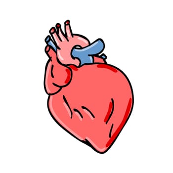 Cartoon style illustration of a human heart anatomy, an organ that pumps blood throughout the body via the circulatory system on isolated white background.
